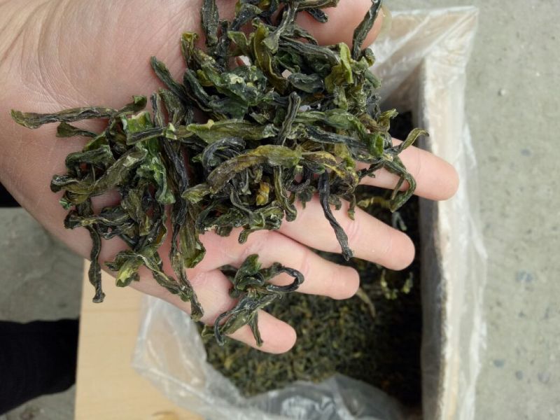 豆角豆江苏豆角切断一级