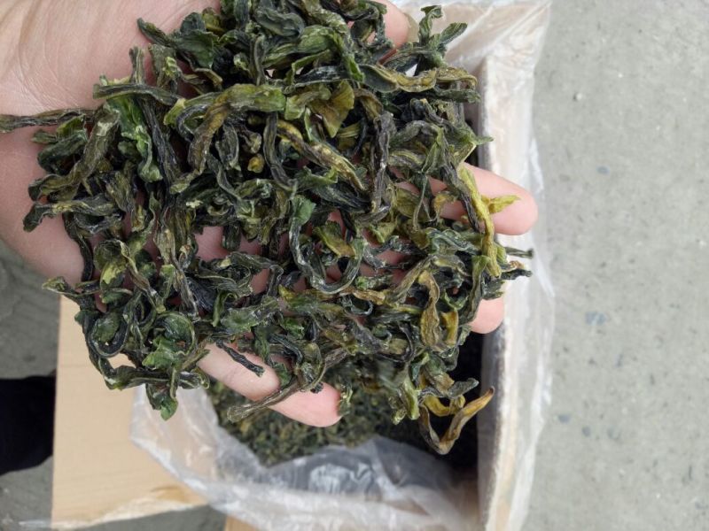 豆角豆江苏豆角切断一级