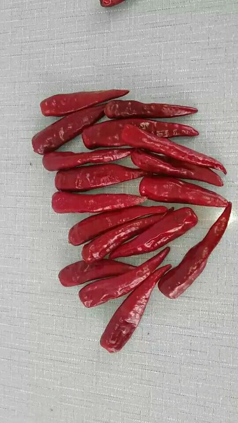 红椒5~10厘米中辣红
