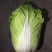 大白菜4~6斤净菜