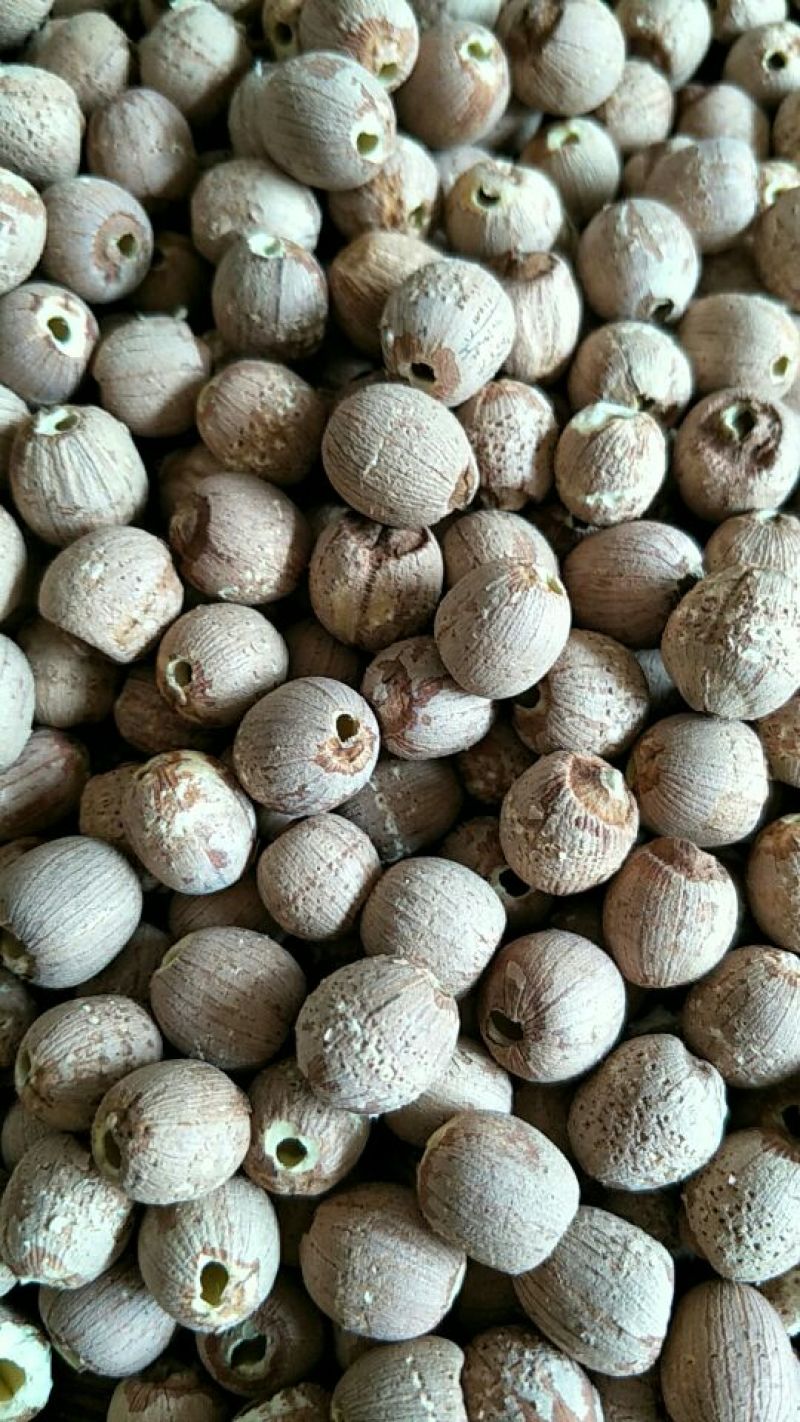 红莲子特级干莲子
