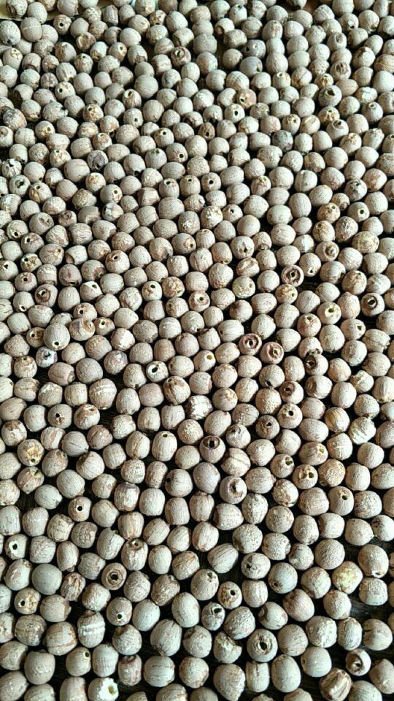 红莲子特级干莲子