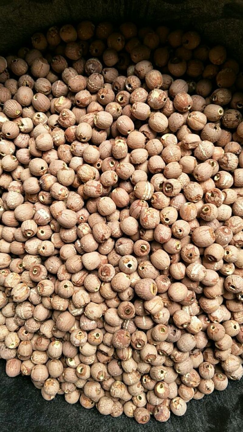 红莲子特级干莲子