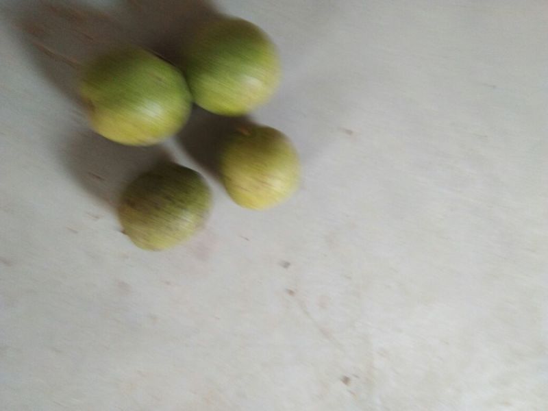 薄皮核桃青皮湿