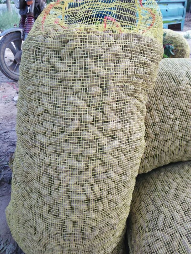 花生鲜货带壳