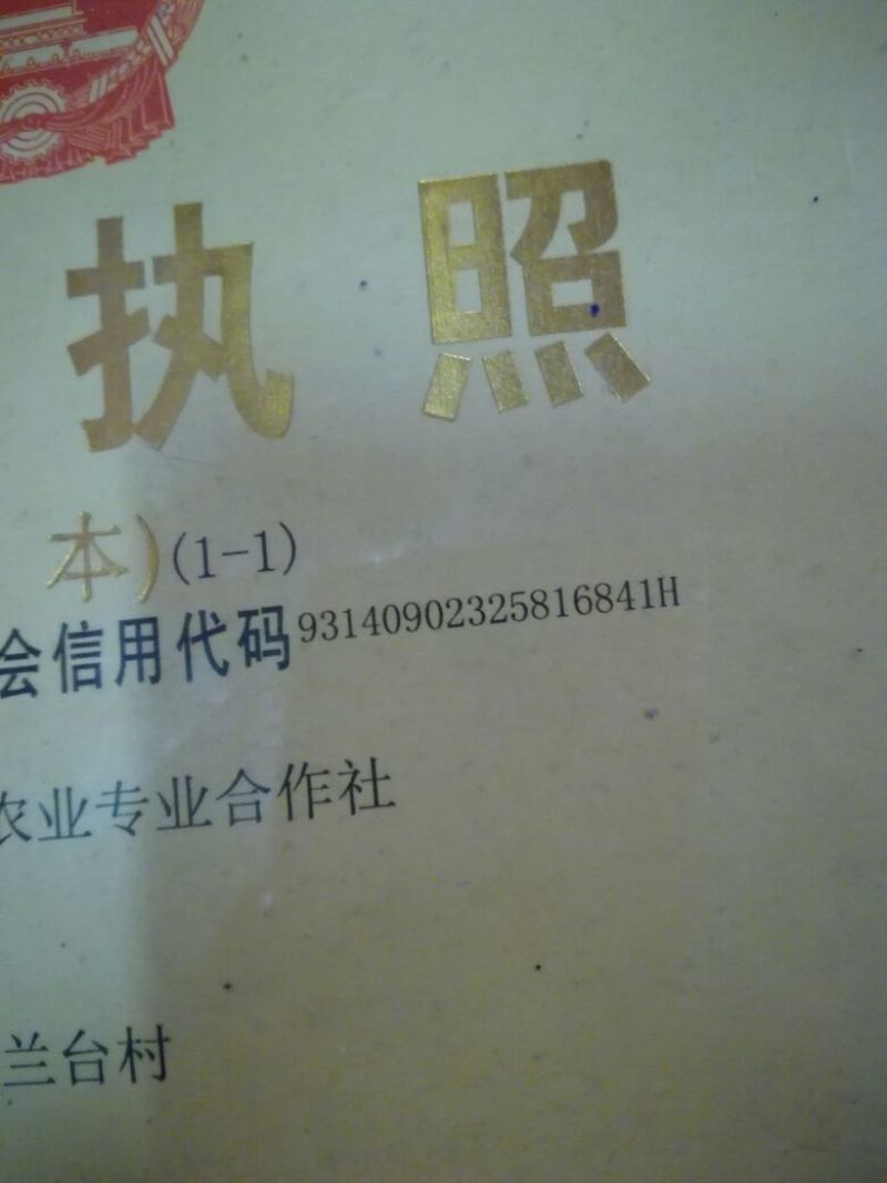 线椒15~20厘米红中辣