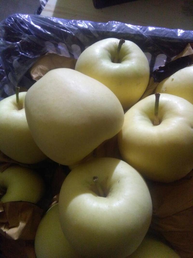 河北金帅苹果80mm以上纸袋，个大果面白