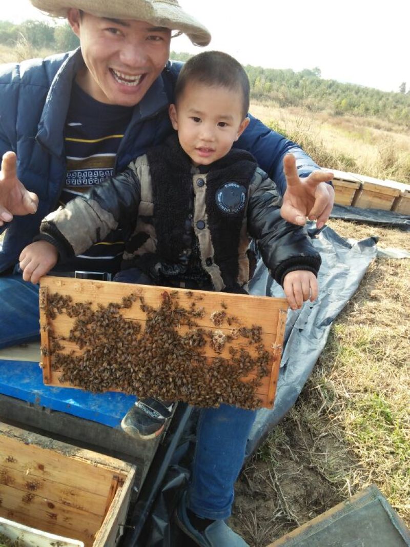 蜂腊