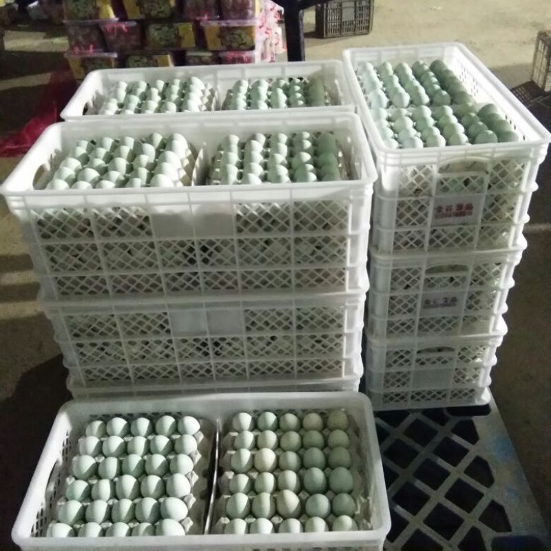 咸鸭蛋散装60~65g