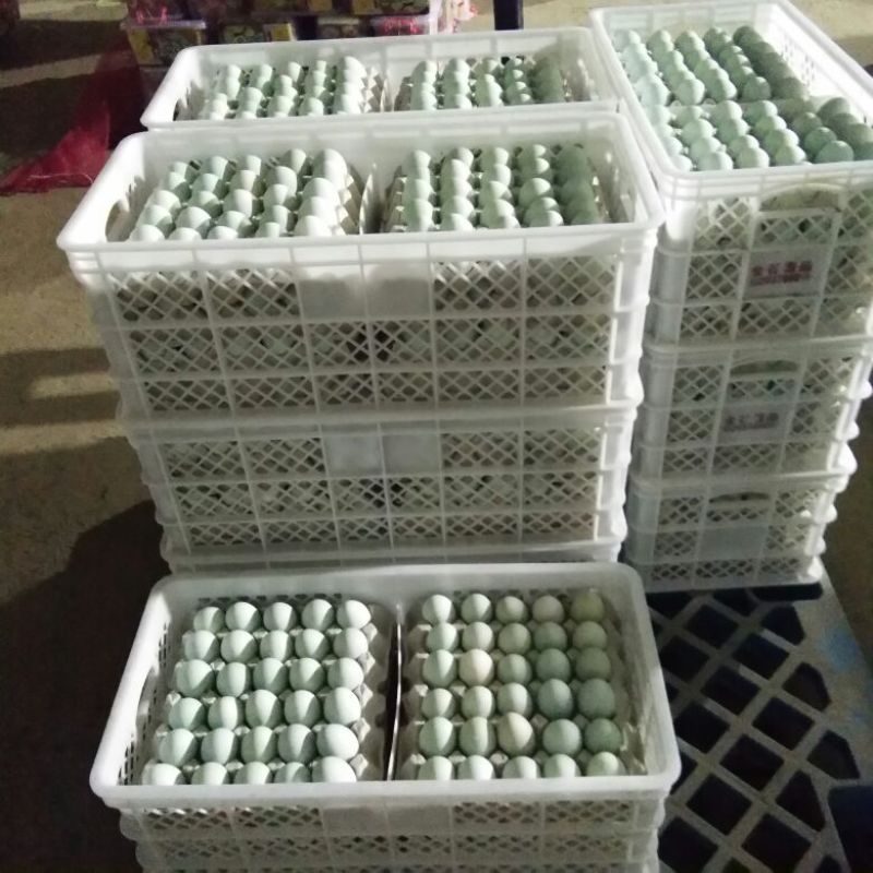 咸鸭蛋散装60~65g