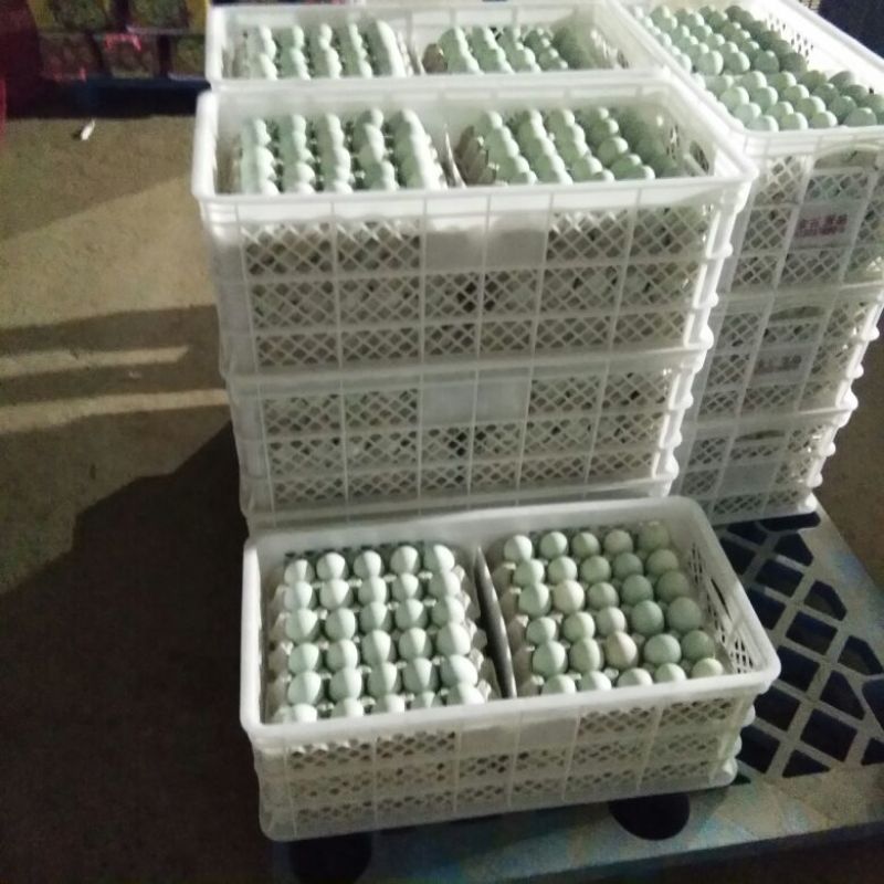 咸鸭蛋散装60~65g
