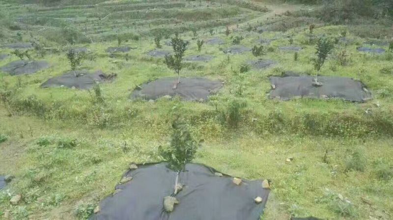 除草布