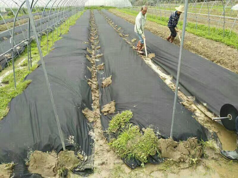 除草布