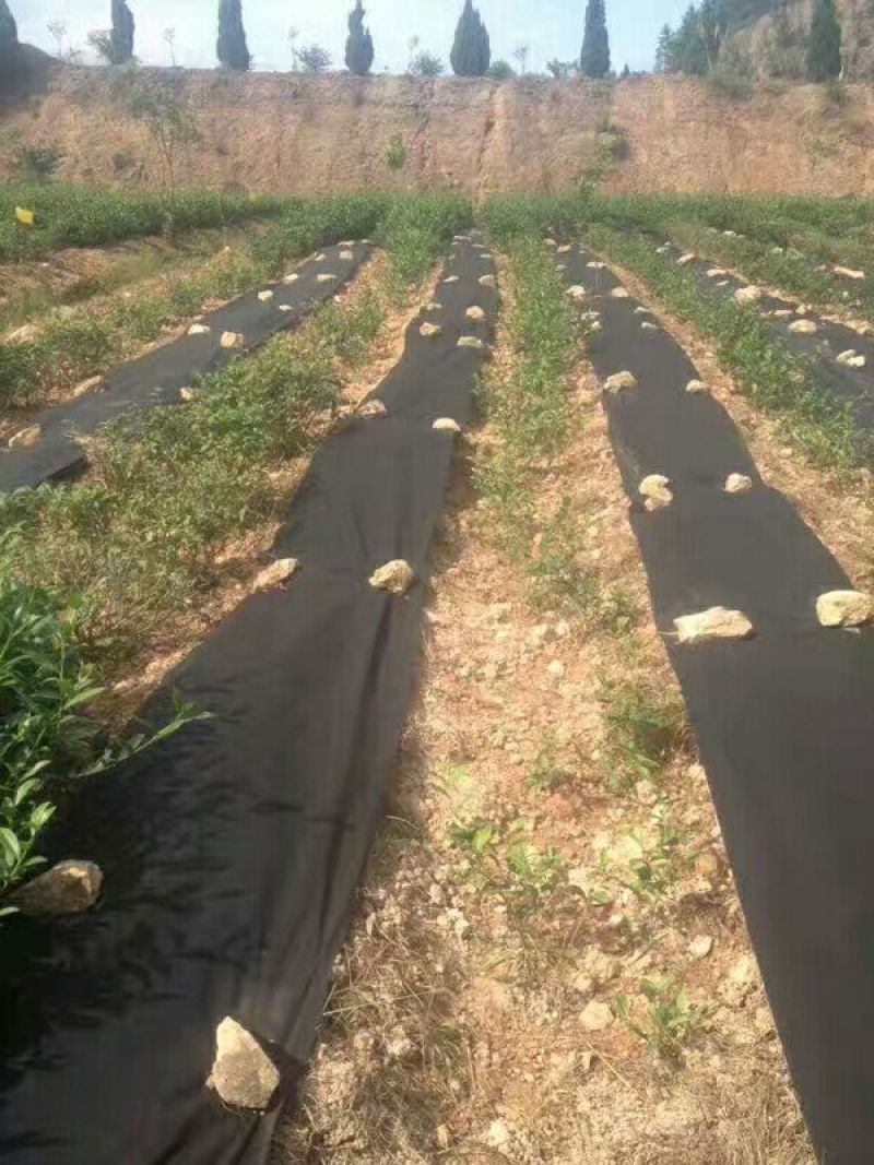 除草布