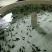 西伯利亚杂交鲟鱼苗全程提供技术指导包回收