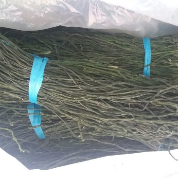 脱水长豆角，绿豆角精品，通货
