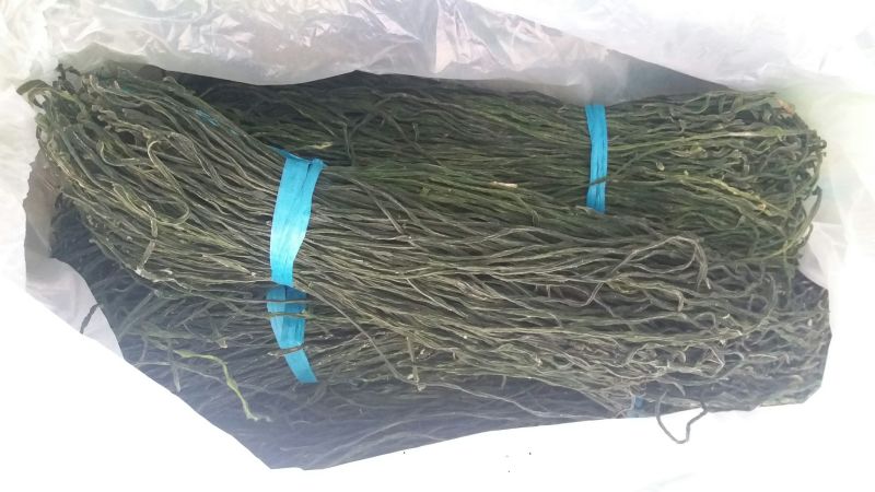 脱水长豆角，绿豆角精品，通货