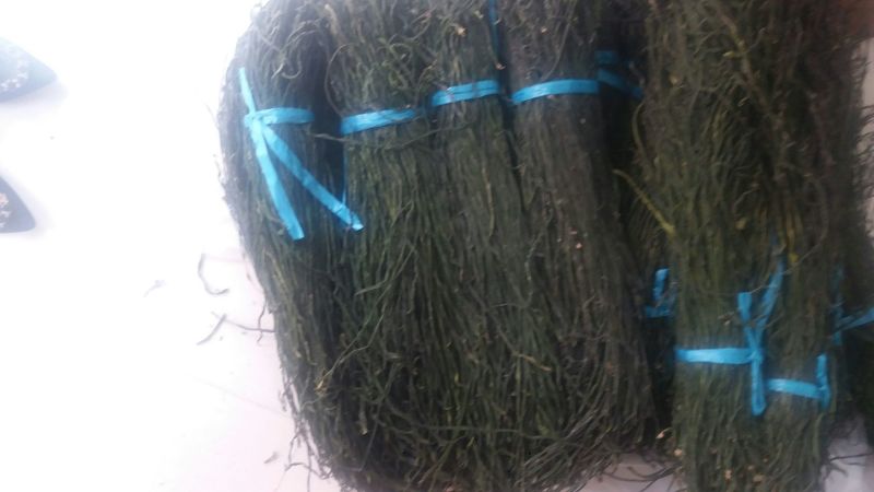 脱水长豆角，绿豆角精品，通货