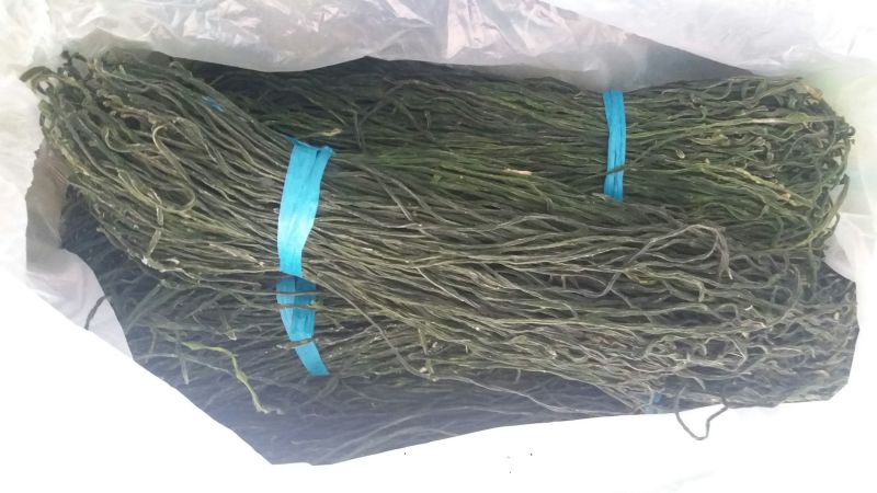脱水长豆角，绿豆角精品，通货