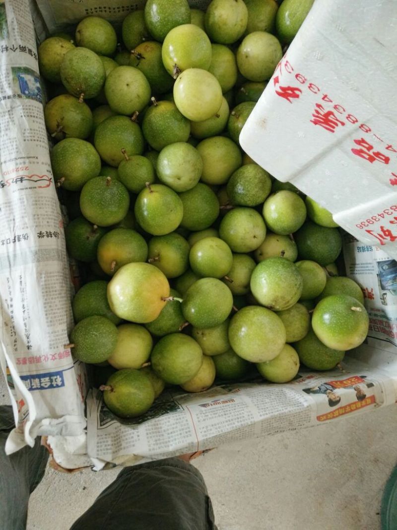 黄金百香果黄果80~90g
