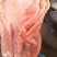 猪肚子