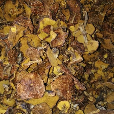 松蘑特级