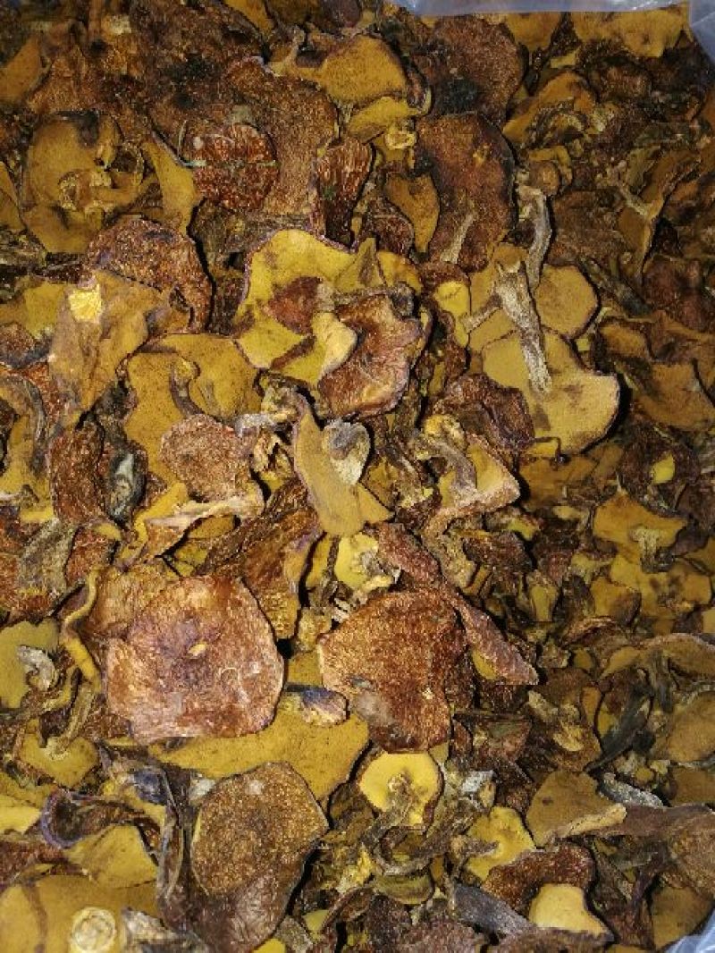 松蘑特级