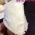 小白嘴白山药2~3厘米一级40~50厘米
