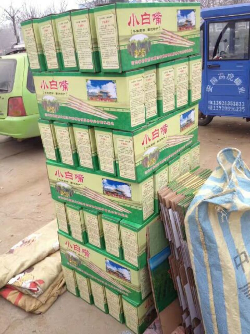 小白嘴白山药2~3厘米一级40~50厘米