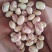 高雄6号红豆袋装
