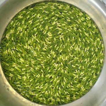 整棵干莲心茶药用莲子心绿出好品质