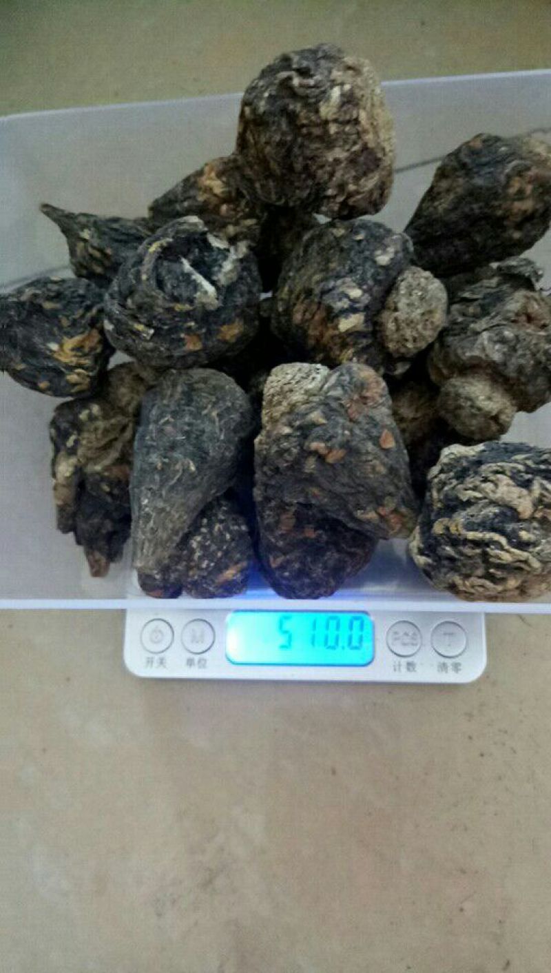 黑玛卡黑色