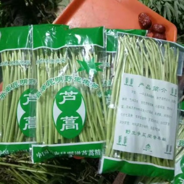 芦篙