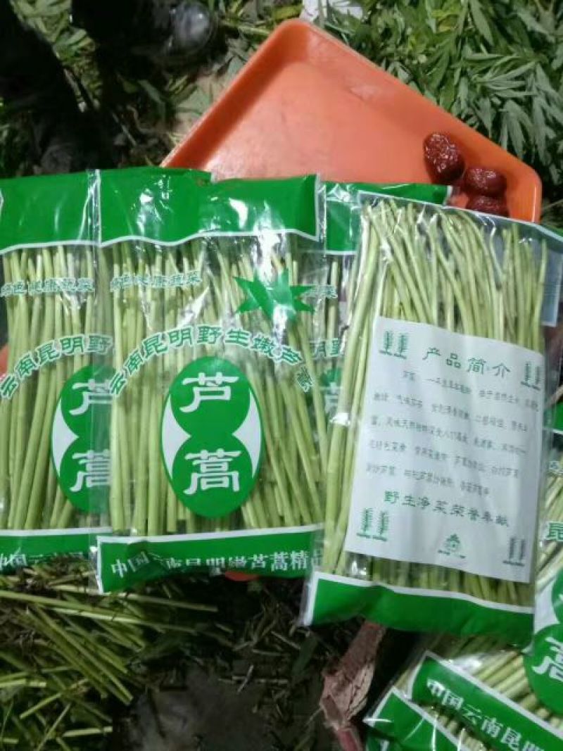 芦篙