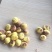 板栗炒栗种大标