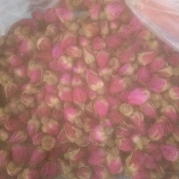 荷叶玫瑰花