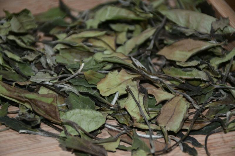福鼎白茶一级