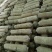 808香菇棒15*50公分