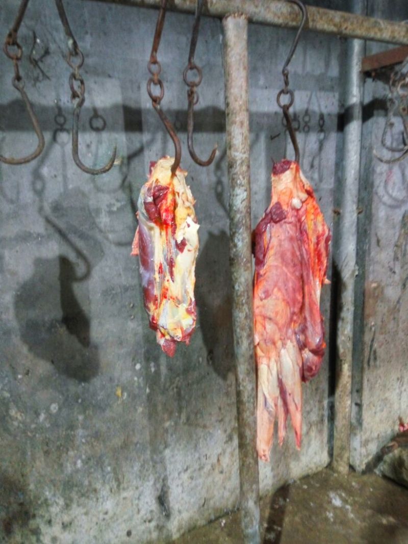 五香驴肉