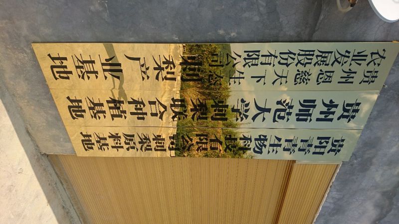 刺梨鲜
