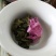 古树茶特级