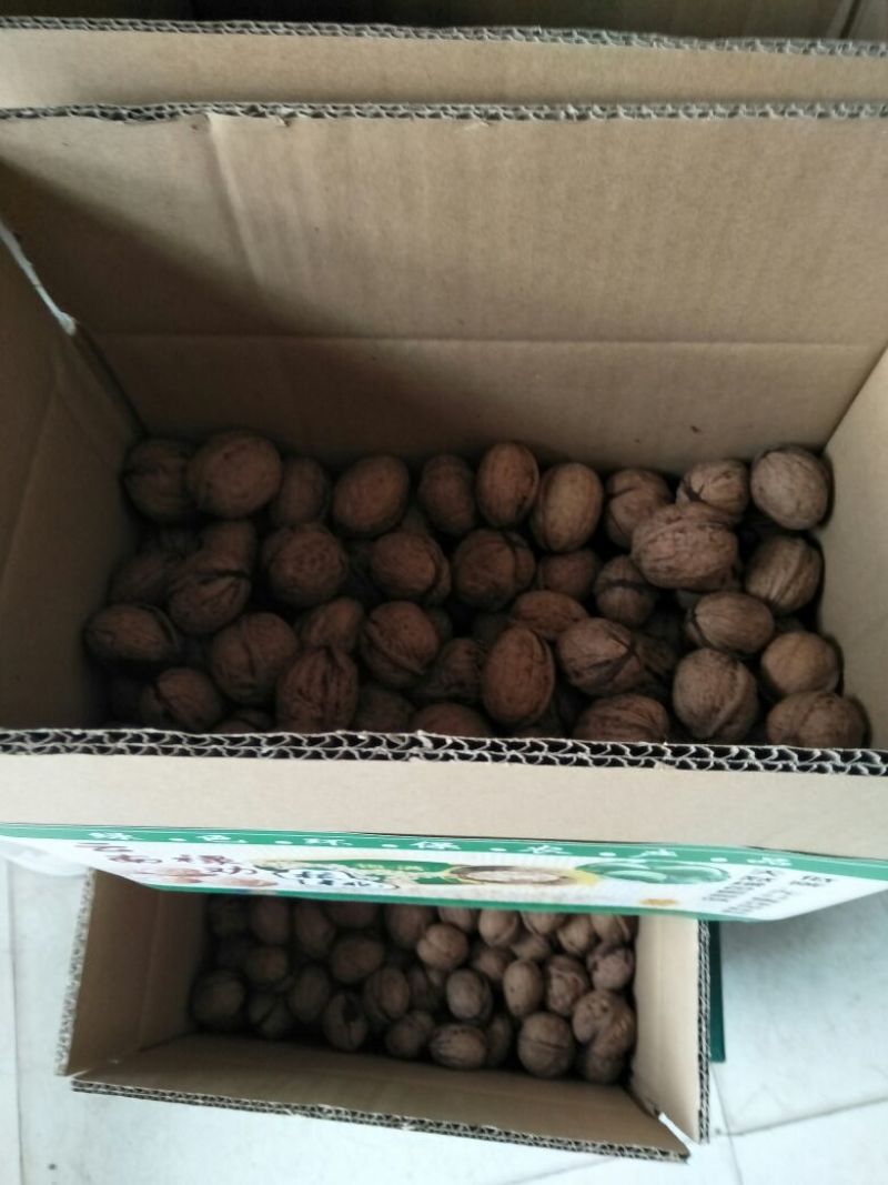 薄皮核桃去皮干