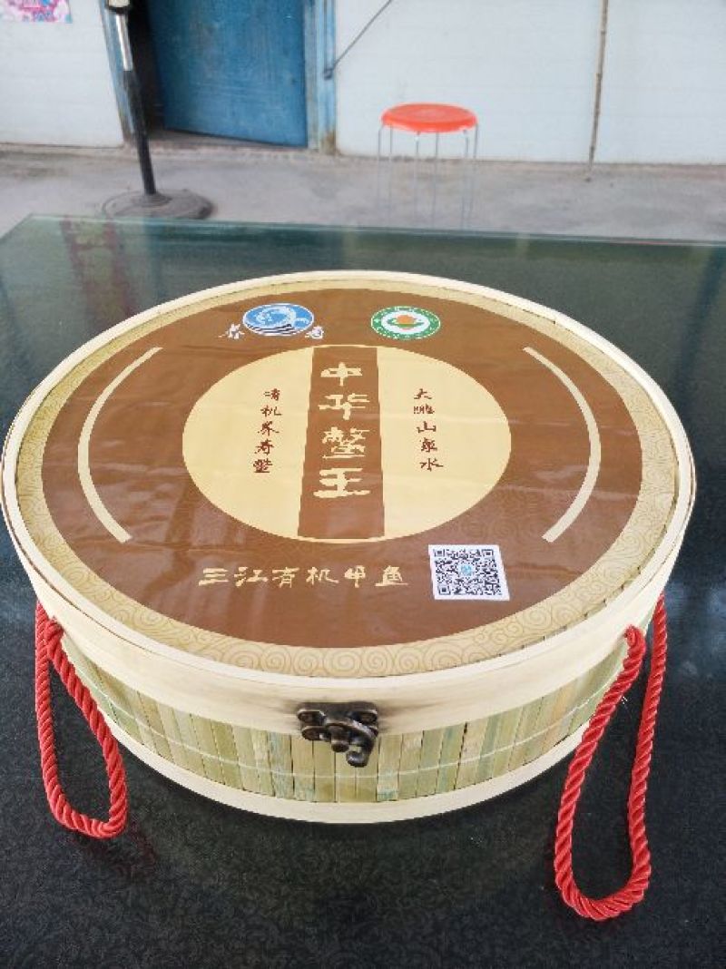 野生甲鱼2.5~3斤