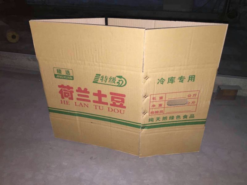 纸箱1号（530*290*370）
