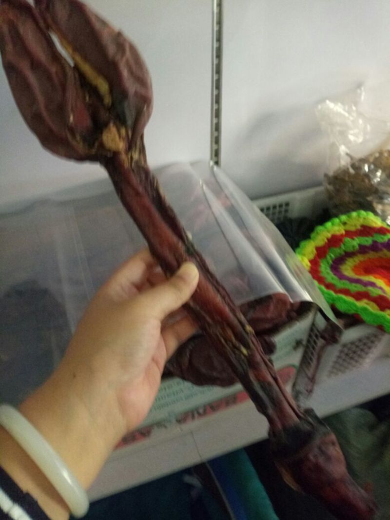 地道驴鞭干货无硫***药食同源2支起包邮