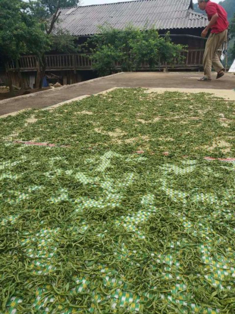 古树茶特级
