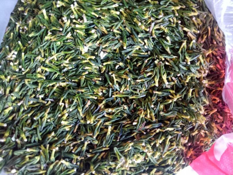 药用莲子心