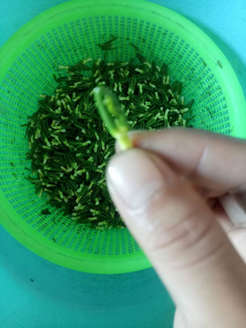 药用莲子心