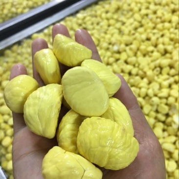 罗田板栗