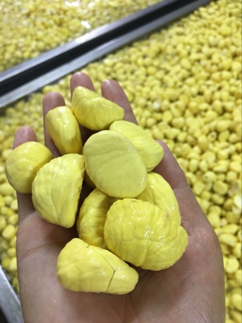 罗田板栗